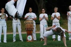 capoeira ginga balanca mannheim